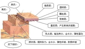 开展各类皮肤病与性病诊疗项目：