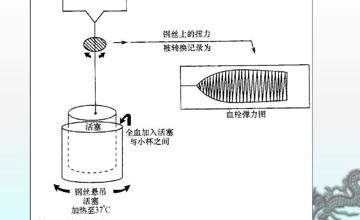 输血科 | 血栓弹力图科普