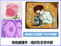 病理科 | 什么是分子病理？