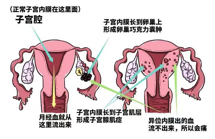 微信图片_20240711102313